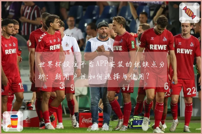 世界杯投注平台APP安装的优缺点分析：新用户该如何选择与使用？
