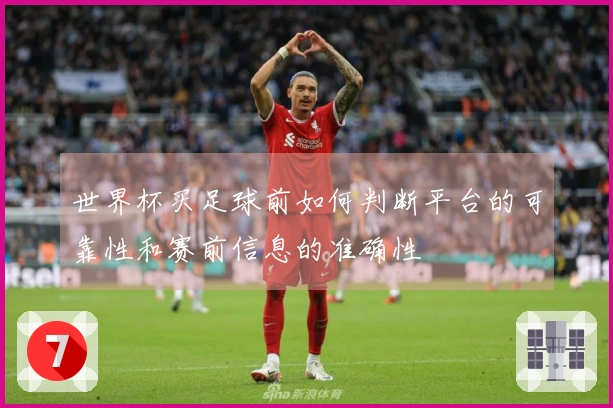 世界杯买足球前如何判断平台的可靠性和赛前信息的准确性