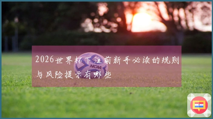 2026世界杯下注前新手必读的规则与风险提示有哪些