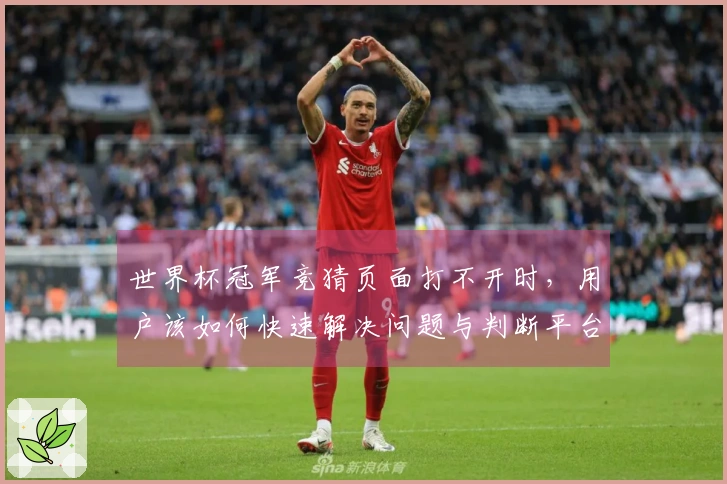 世界杯冠军竞猜页面打不开时，用户该如何快速解决问题与判断平台安全？