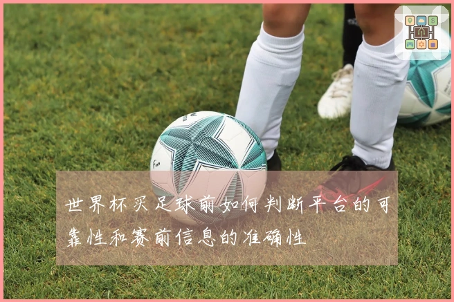 世界杯买足球前如何判断平台的可靠性和赛前信息的准确性