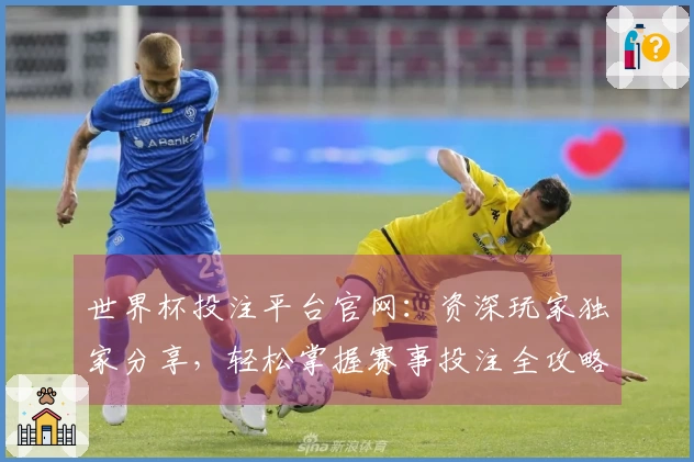世界杯投注平台官网：资深玩家独家分享，轻松掌握赛事投注全攻略