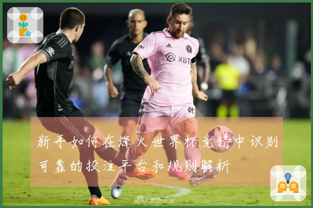 新手如何在烽火世界杯竞猜中识别可靠的投注平台和规则解析