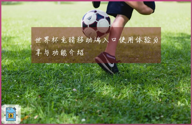 世界杯竞猜移动端入口使用体验分享与功能介绍