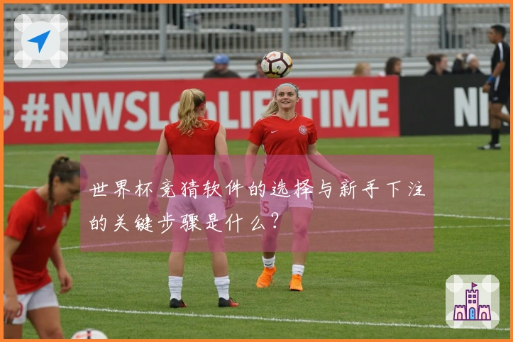 世界杯竞猜软件的选择与新手下注的关键步骤是什么?