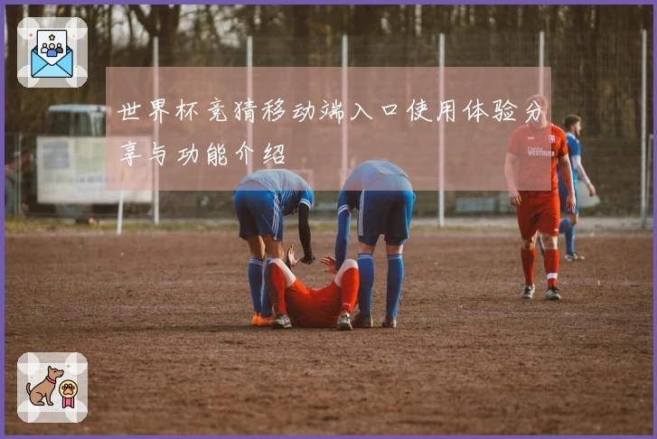 世界杯竞猜移动端入口使用体验分享与功能介绍