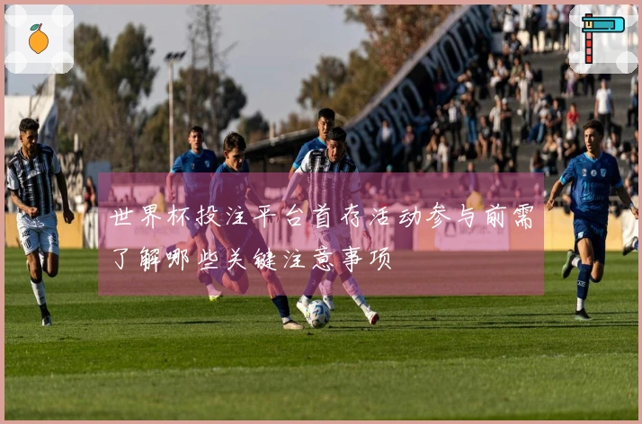 世界杯投注平台首存活动参与前需了解哪些关键注意事项