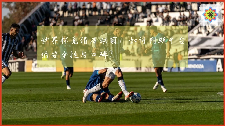 世界杯竞猜活动前，如何判断平台的安全性与口碑？