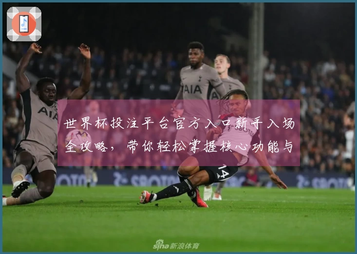 世界杯投注平台官方入口新手入场全攻略，带你轻松掌握核心功能与使用技巧